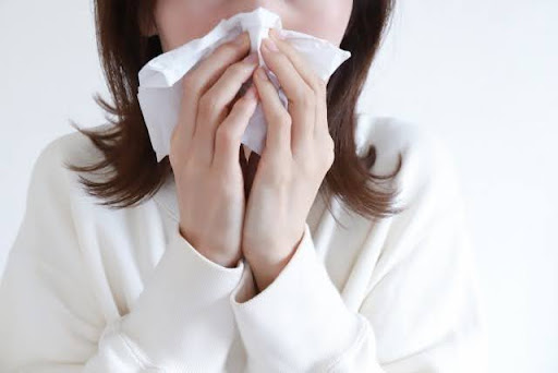 鼻づまり(鼻が詰まる)が起こる主な原因